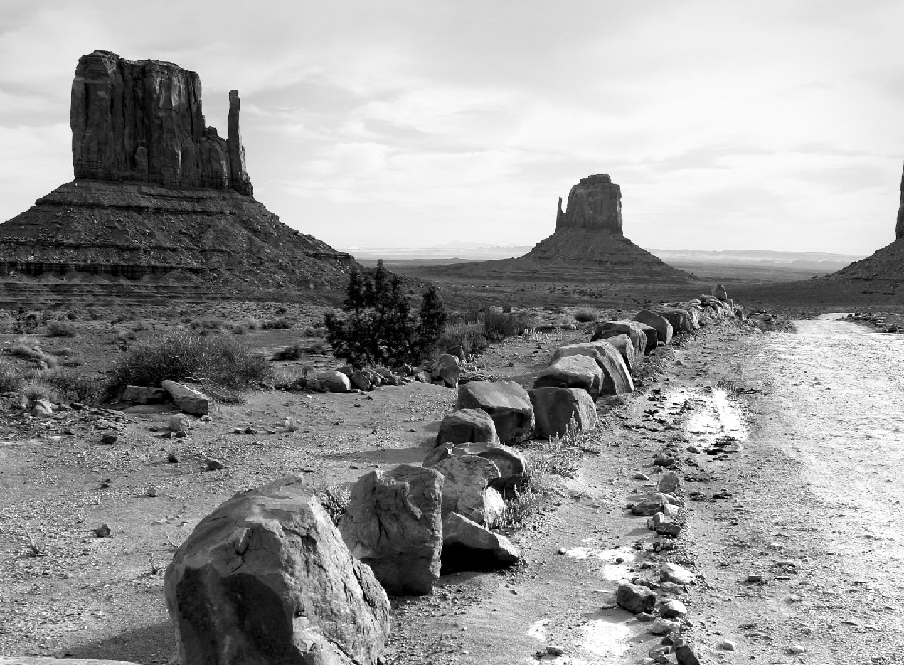 "Rock Line"  (Monument Valley) 8”x 10” signed edition of 12 prints