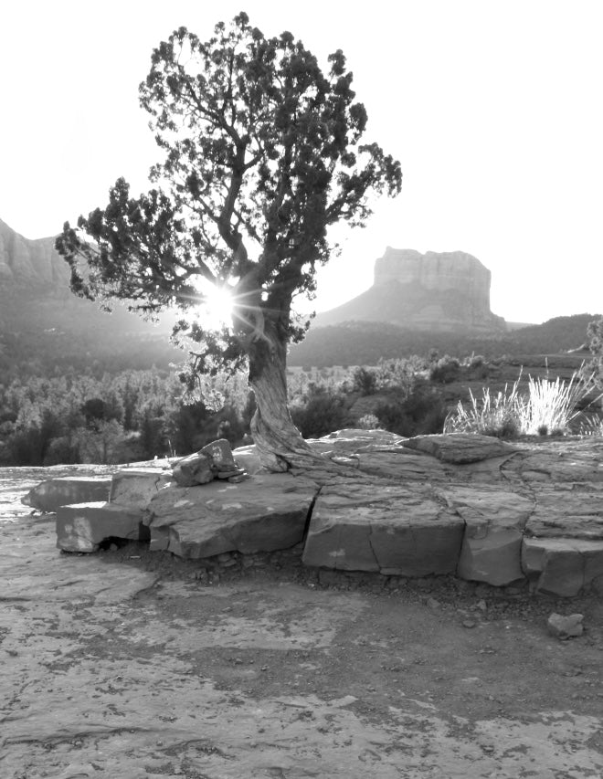 THE SPACE BETWEEN - (Sedona, Arizona) 10”x 12” Edition of 20